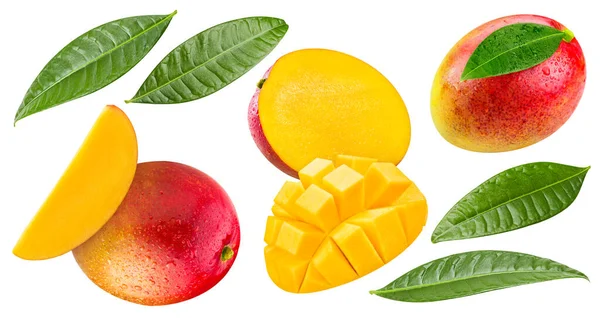 Dojrzałe Owoce Mango Wyizolowane Białym Tle Kompozycja Mango Ścieżką Wycinania — Zdjęcie stockowe