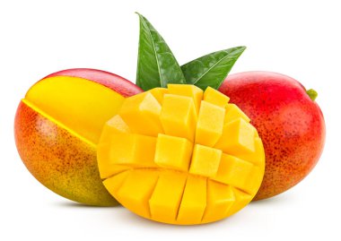 Mango leaves with Clipping Path isolated on a white background. Mango collection