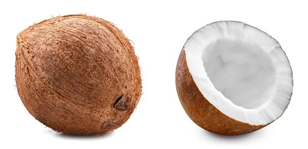 椰子收割路径 成熟的整个椰子和半孤立的白色背景 Coconut宏工作室照片 — 图库照片