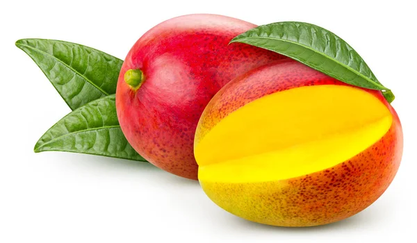 Fresh Mango Leaves Isolated White Background Mango White Background Clipping — Foto Stock
