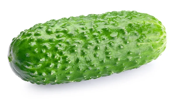Komkommer Geïsoleerd Witte Achtergrond Komkommer Clipping Pad Komkommer Met Knippad — Stockfoto