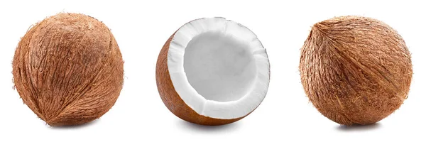 椰子在白色背景上被隔离 带有剪切路径的椰子集合 — 图库照片