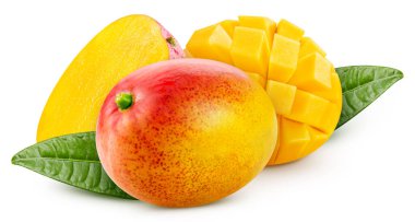 Fresh mango with leaves isolated on white background, mango on white background with clipping path.