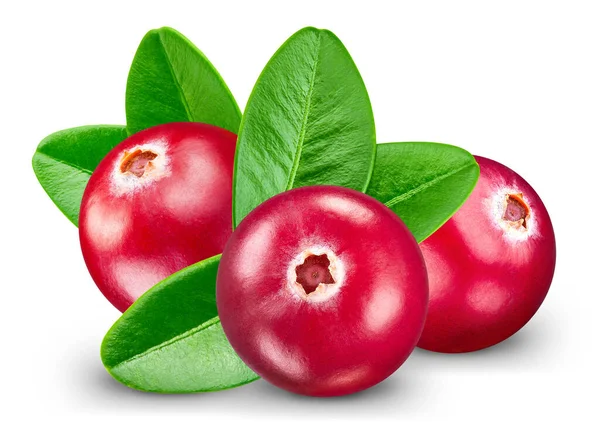 Cranberry Cranberry Com Caminho Recorte Isolado Fundo Branco Profundidade Total — Fotografia de Stock