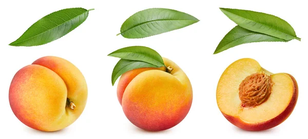 Peach Collection Clipping Path Peach Isolated White Background Peach Studio — Stock Photo, Image