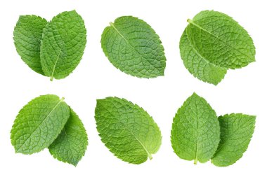 Nane yaprağını beyaz arkaplanda izole et. Nane yaprağı kırpma yolu. Naneli makro stüdyo fotoğrafı.