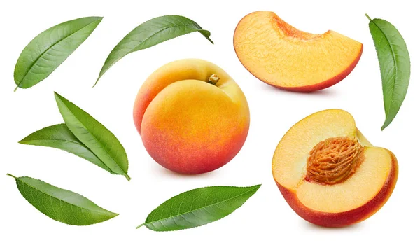 Isolated Peach Fresh Organic Peach Leaves Isolated Clipping Path Peach — Stock Photo, Image