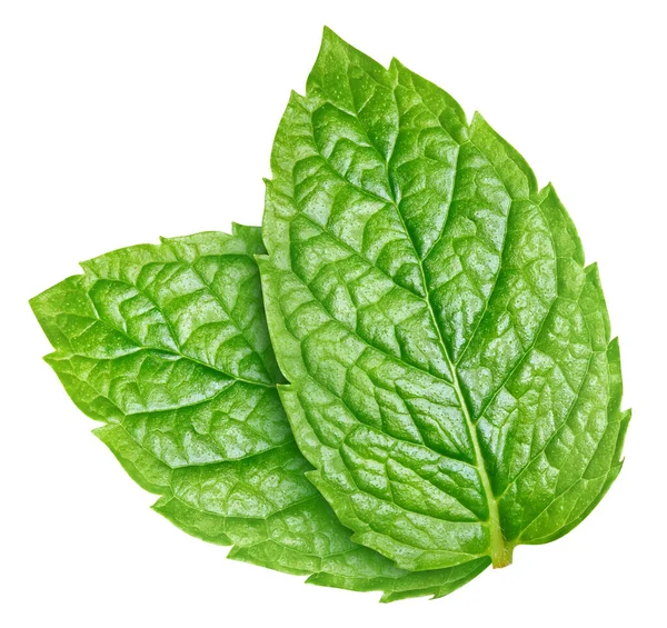 Mint Leaves Isolated White Mint Clipping Path — Stock Photo, Image