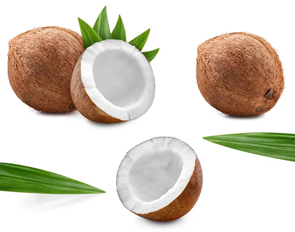 椰子收割路径 成熟的整个椰子 半隔离在白色的背景 Coconut宏工作室照片 — 图库照片