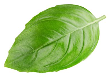 Fesleğen beyaz arkaplanda izole. Kırpma yolu olan fesleğen