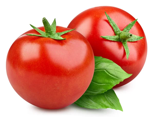 Pomidor Izolowany Białym Tle Pomidor Liściem Bazylii Pomidorowe Makro Studio — Zdjęcie stockowe