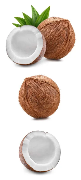 코코넛 콜렉션클 코코넛은 바탕에 분리되어 코코넛 스튜디오 매크로 — 스톡 사진