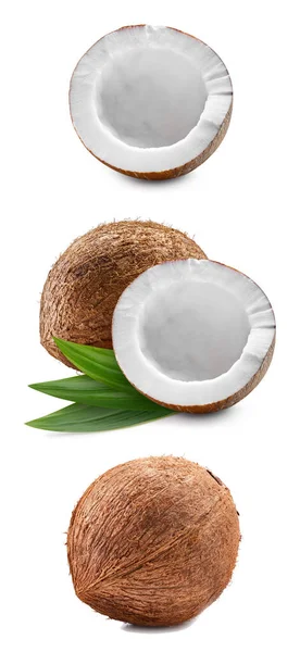 椰子收割路径 成熟的整个椰子与叶子 半隔离在白色的背景 Coconut宏工作室照片 — 图库照片