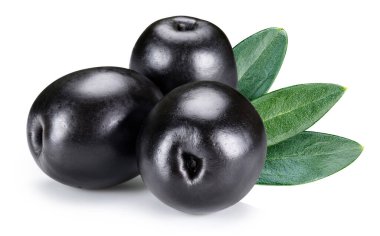 Yapraklı siyah zeytin. Beyaz arka planda izole edilmiş taze organik zeytin. Zeytin makrosu