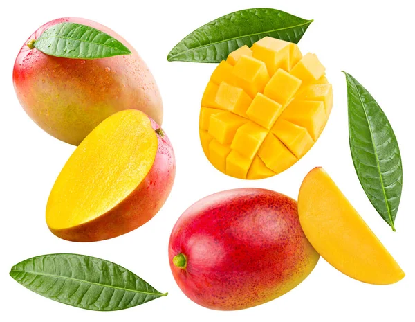 Latające Dojrzałe Mango Zielonymi Liśćmi Izolowane Białym Tle Kolekcja Mango — Zdjęcie stockowe