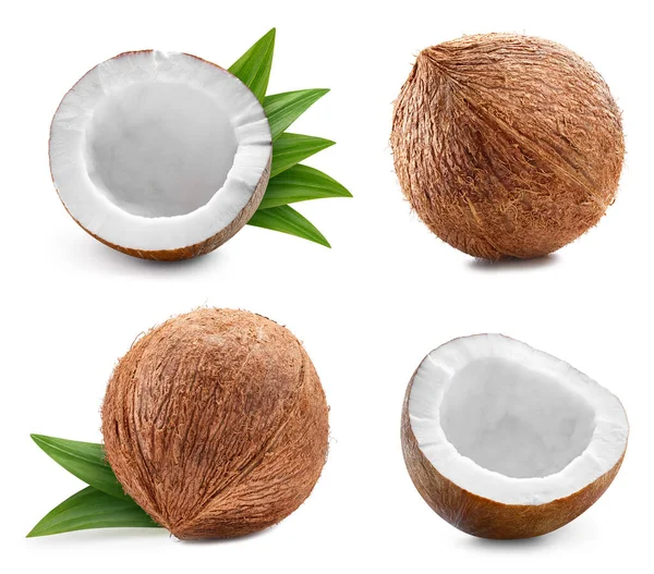 코코넛 콜렉션클 코코넛은 바탕에 분리되어 코코넛 스튜디오 매크로 — 스톡 사진