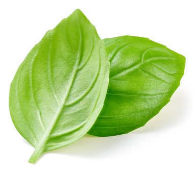 Beyaz arka planda iki yeşil fesleğen yaprağı kırpma yolu ile.