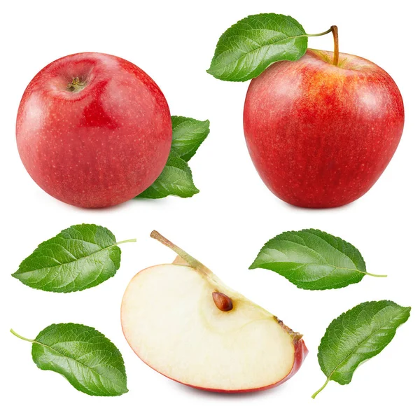 Όμορφα Κόκκινα Μήλα Φύλλα Στο Κοτσάνι Μήλα Για Σχέδιό Σας — Φωτογραφία Αρχείου