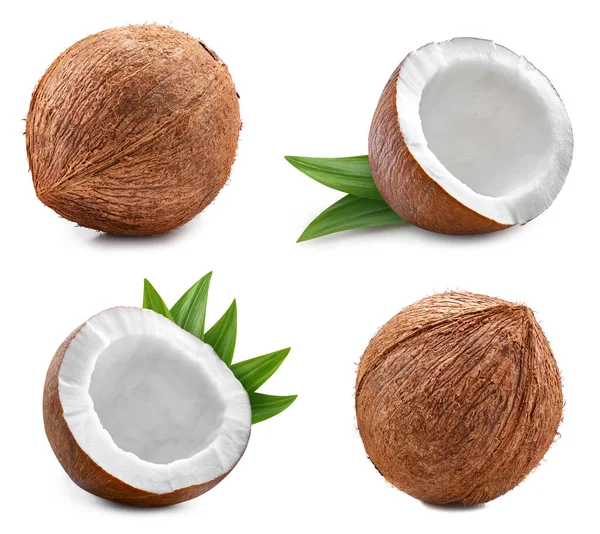 椰子的收藏 带有截断路径的椰子 在白色背景上被隔离 新鲜的有机水果 实地的全部深度 — 图库照片