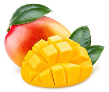 Isolated mango. Fresh organic mango with leaves isolated clipping path. Mango macro studio photo.