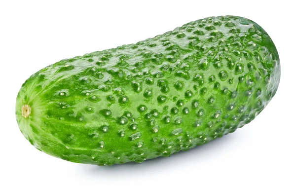 Verse Komkommer Biologisch Voedsel Geïsoleerd Witte Achtergrond Komkommerknippad — Stockfoto