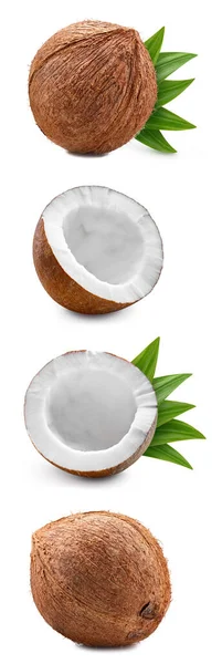 Verse Kokosnoot Met Bladeren Geïsoleerd Witte Achtergrond Kokosnoot Witte Achtergrond — Stockfoto