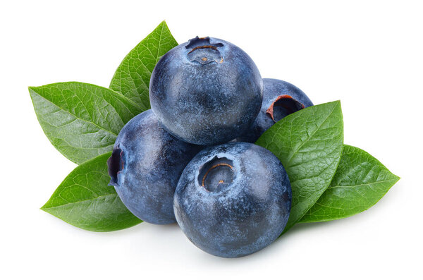 Organic blueberry isolated on white background. Taste blueberry with leaf with clipping path