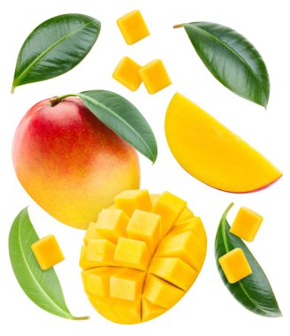 Beyaz arka planda izole edilmiş olgun mango meyveleri. Kesme yolu olan mango kompozisyonu. Mango makro stüdyo fotoğrafı