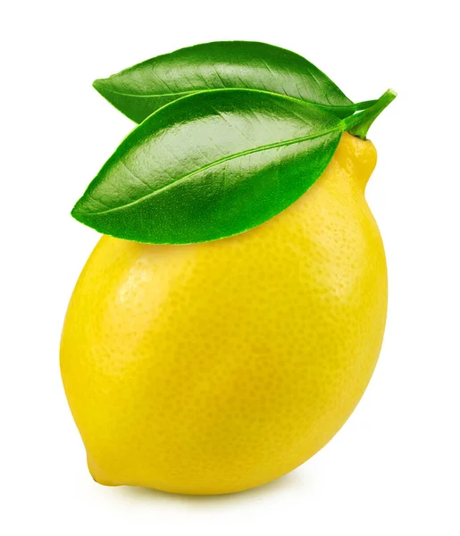 柠檬果实在白色背景上被分离出来 有快捷方式的柠檬 Lemon宏工作室照片 — 图库照片