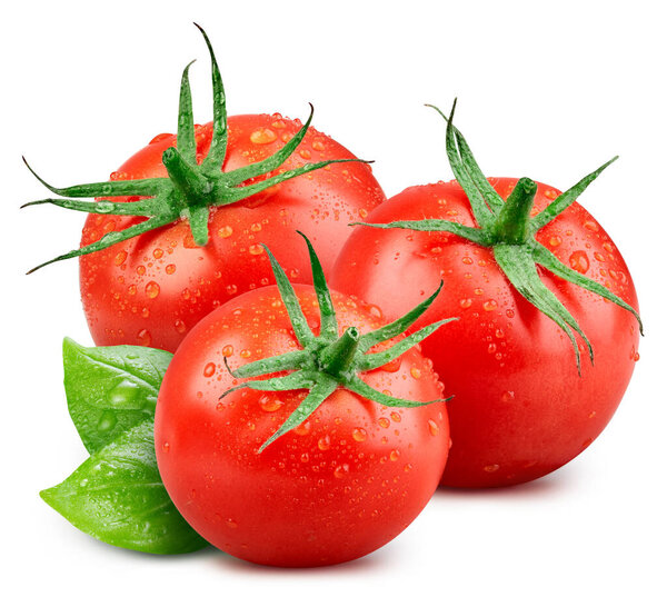 Wet tomato. Fresh organic tomato with leaves basil isolated on white background. Tomato with clipping path