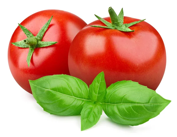 トマト 白を基調としたバジルを葉にした新鮮な有機トマト クリッピングパストマト — ストック写真