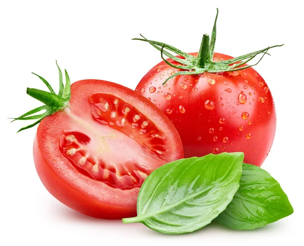 Tomato Drops Wet Tomato Leaves Basil Isolated White Background Tomato — Stock Photo, Image