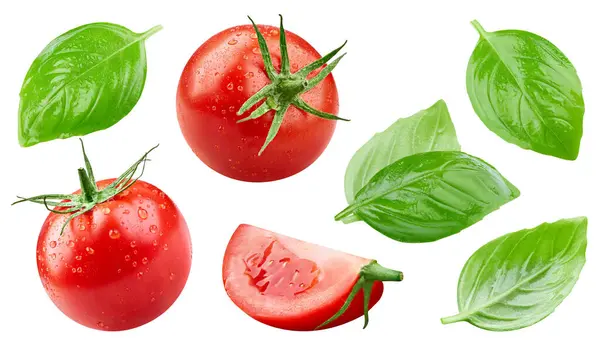 Tomate Húmedo Aislado Tomate Con Hojas Balsil Aisladas Sobre Fondo — Foto de Stock