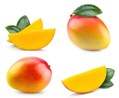 Fresh mango with leaves isolated on white background, mango on white background with clipping path.