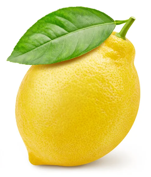 Φρούτα Λεμονιού Φύλλα Απομονώνονται Λεμόνι Μονοπάτι Απόκομμα Λεμόνι Στοίβα Πλήρες — Φωτογραφία Αρχείου
