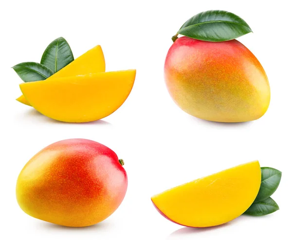 Fresh Mango Leaves Isolated White Background Mango White Background Clipping — Stock Fotó