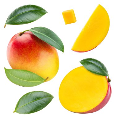 Mango dilimi. Beyaz arka planda yaprakları olan taze organik mango. kırpma yolu ile mango
