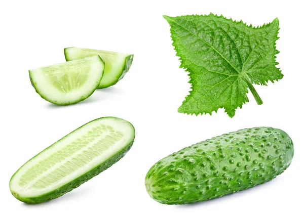 Cucumber Leaf Vegetable Slice Isolated White Background Cucumber Clipping Path — Stock Photo, Image