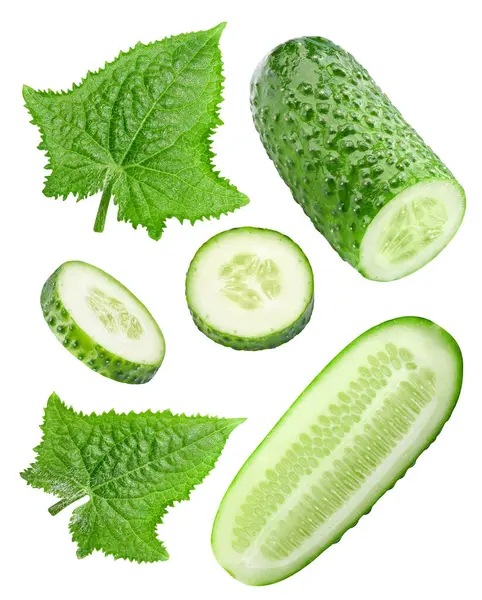 Set Cucumber Leaves White Background Cucumber Clipping Path — Stock Photo, Image
