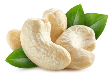 Beyaz arka planda yaprakları olan kaju fıstığı. Kaju kırpma yolu