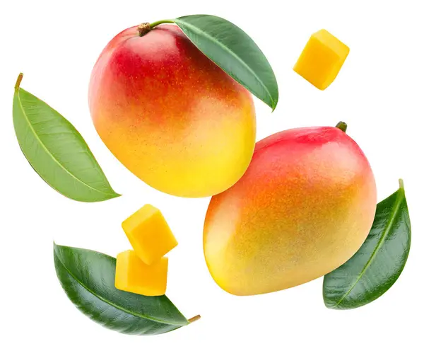 stock image Mango clipping path. Collection mango isolated on white. Mango full depth of field. Flying in air mango