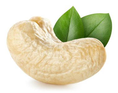 Beyaz arka planda yaprakları olan kaju fıstığı. Kaju kırpma yolu