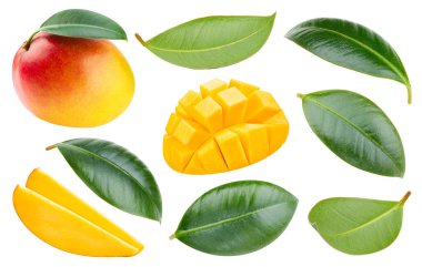 Mango meyveli ve beyaz arka planda izole edilmiş mango küpleri ve yaprakları var. Yaprak kırpma yolu ile mango