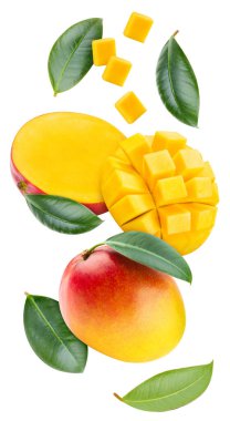 Mango meyveli ve beyaz arka planda izole edilmiş mango küpleri ve yaprakları var. Yaprak kırpma yolu olan mango. Havada uçan mango