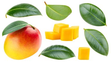 Mango meyveleri ve mango dilimleri koleksiyonu. Mango beyaz bir arkaplanda izole edilmiş. Mango kırpma yolu