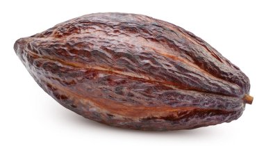 Beyaz arka planda izole edilmiş kakao kabuğu. Kırpma yolu olan kakao kabuğu