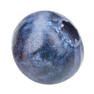 Beyaz arka planda kırpma yolu ile izole edilmiş bir yabanmersini. Projen için kaliteli fotoğraf.