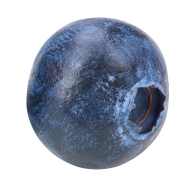 Beyaz arka planda kırpma yolu ile izole edilmiş bir yabanmersini. Projen için kaliteli fotoğraf.