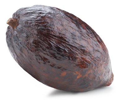 Kakao meyve kabuğu beyaz arka planda izole edilmiş. Kakao kapsülü kırpma yolu ile izole edildi. Projen için kaliteli fotoğraf.