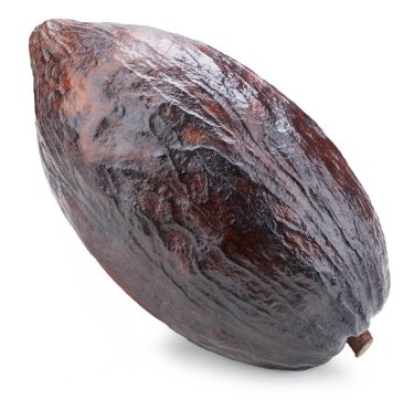 Kakao meyve kabuğu beyaz arka planda izole edilmiş. Kakao kapsülü kırpma yolu ile izole edildi. Projen için kaliteli fotoğraf.